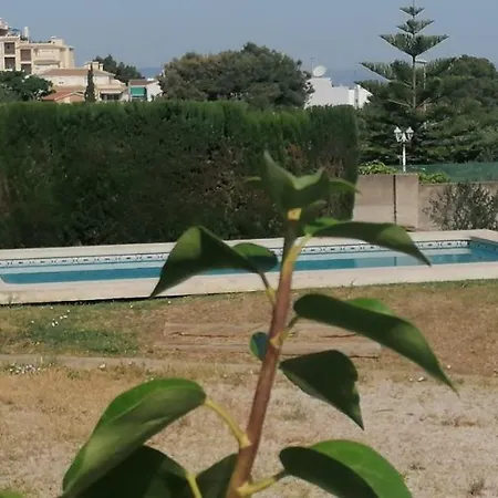 El Campus * Denia